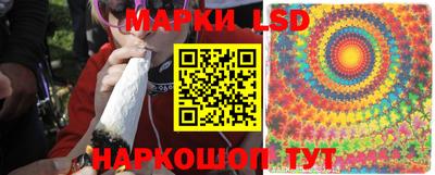 дживик Кингисепп