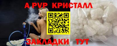 дживик Кингисепп
