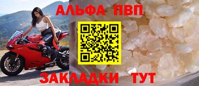 дживик Кингисепп