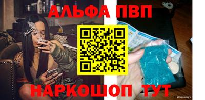 дживик Кингисепп
