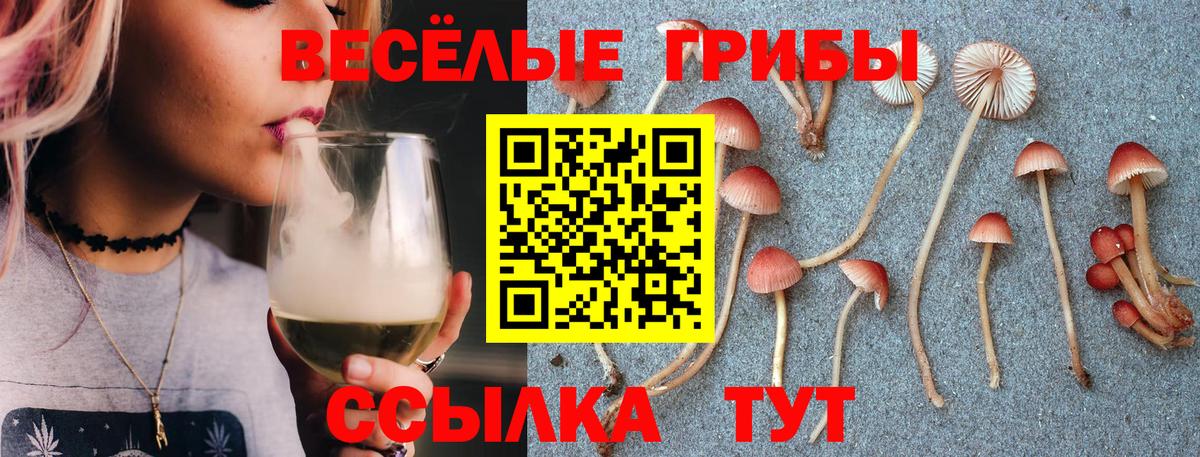 Ульяновск  Псилоцибиновые грибы мухоморы  Псилоцибиновые грибы GOLDEN TEACHER  Вход с VPN 